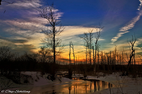 Sunset 4653A1sm2 ZF