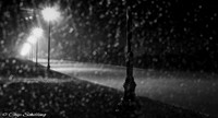 Heavy Rain 1464 ZF