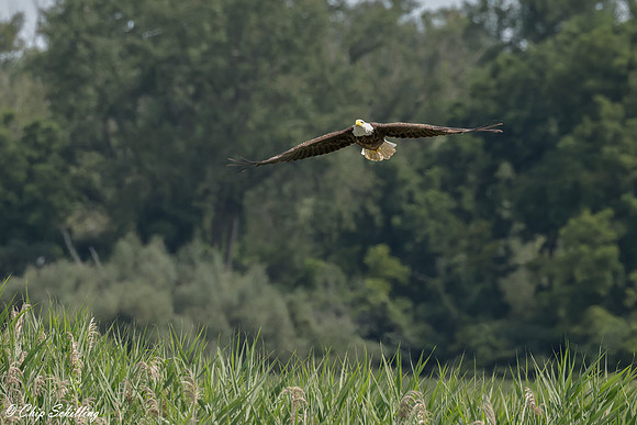 _05A4308-sm-Gg-Web