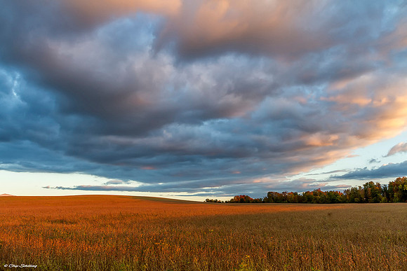 Fall Field PM1560