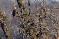 _05A1216-sm-Web-sm