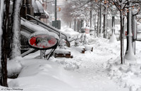 snow storm 4546sm ZF